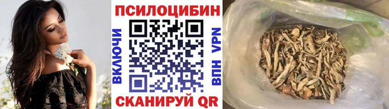 кракен ССЫЛКА  Сорочинск  Псилоцибиновые грибы MAGIC MUSHROOMS 